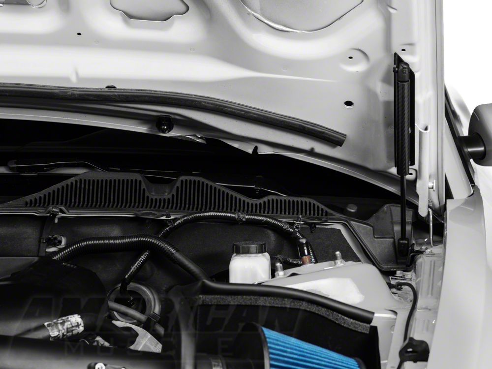 MMD Bolt On Hood Strut Kit; Carbon Fiber (05-14 Mustang)