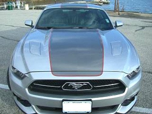 MMD by FOOSE Center Line Graphic Kit; Silver and Orange (15-17 Mustang Fastback)