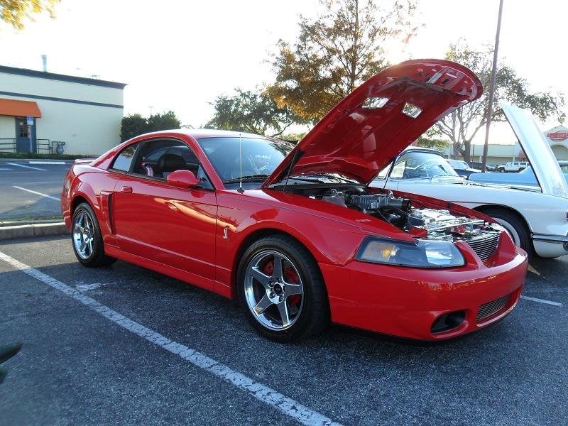 MMD Bolt On Hood Strut Kit; Black (99-04 Mustang)