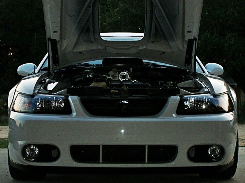 MMD Bolt On Hood Strut Kit; Black (99-04 Mustang)