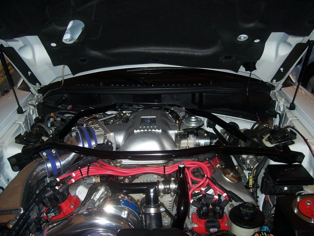 MMD Bolt On Hood Strut Kit; Black (94-98 Mustang)