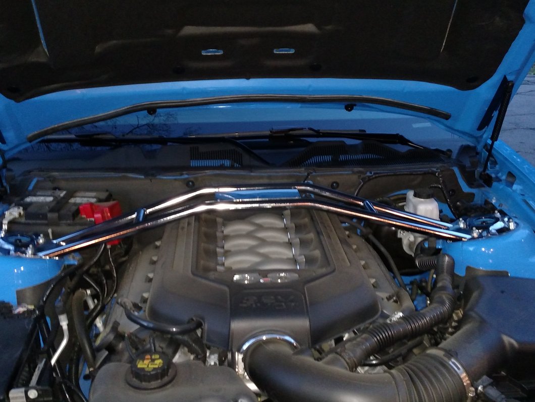 MMD Bolt On Hood Strut Kit; Carbon Fiber (05-14 Mustang)