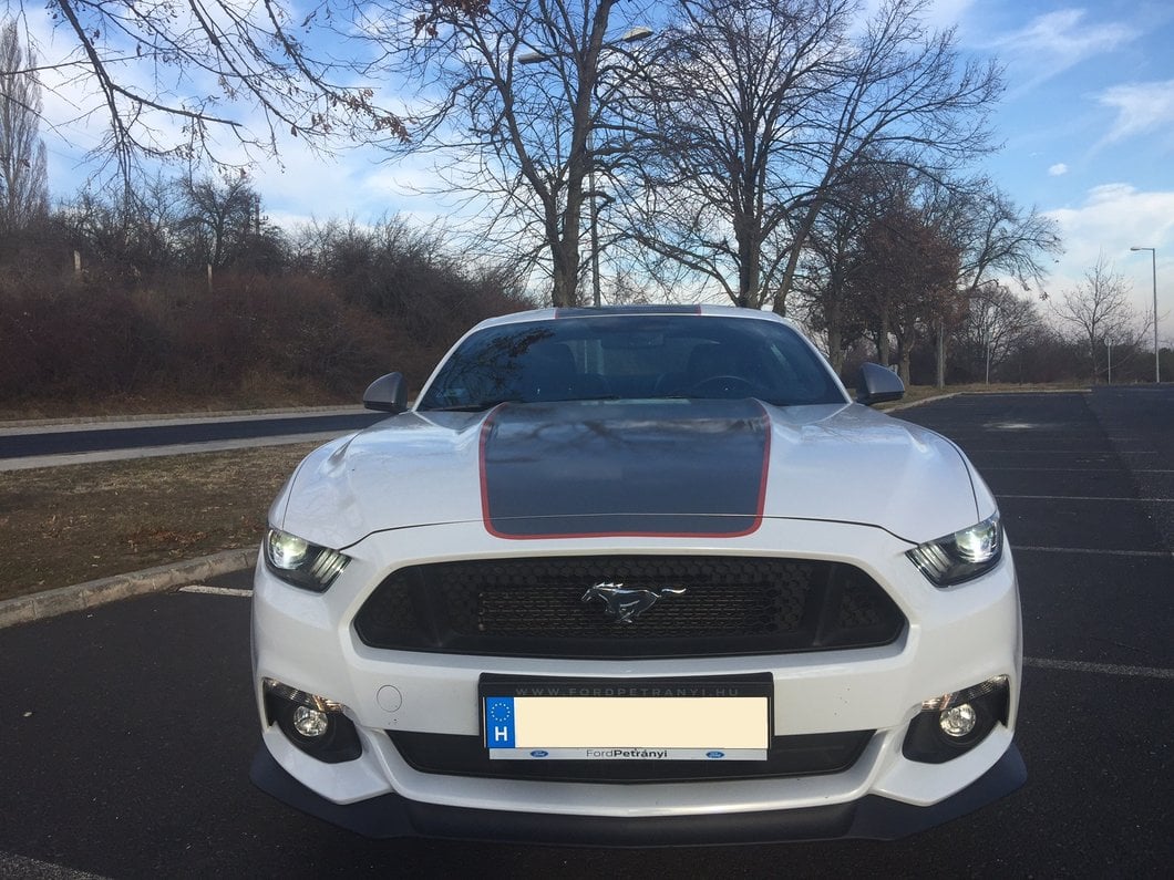 MMD by FOOSE Center Line Graphic Kit; Silver and Orange (15-17 Mustang Fastback)