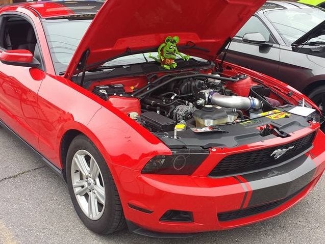 MMD Bolt On Hood Strut Kit; Black (10-14 Mustang)