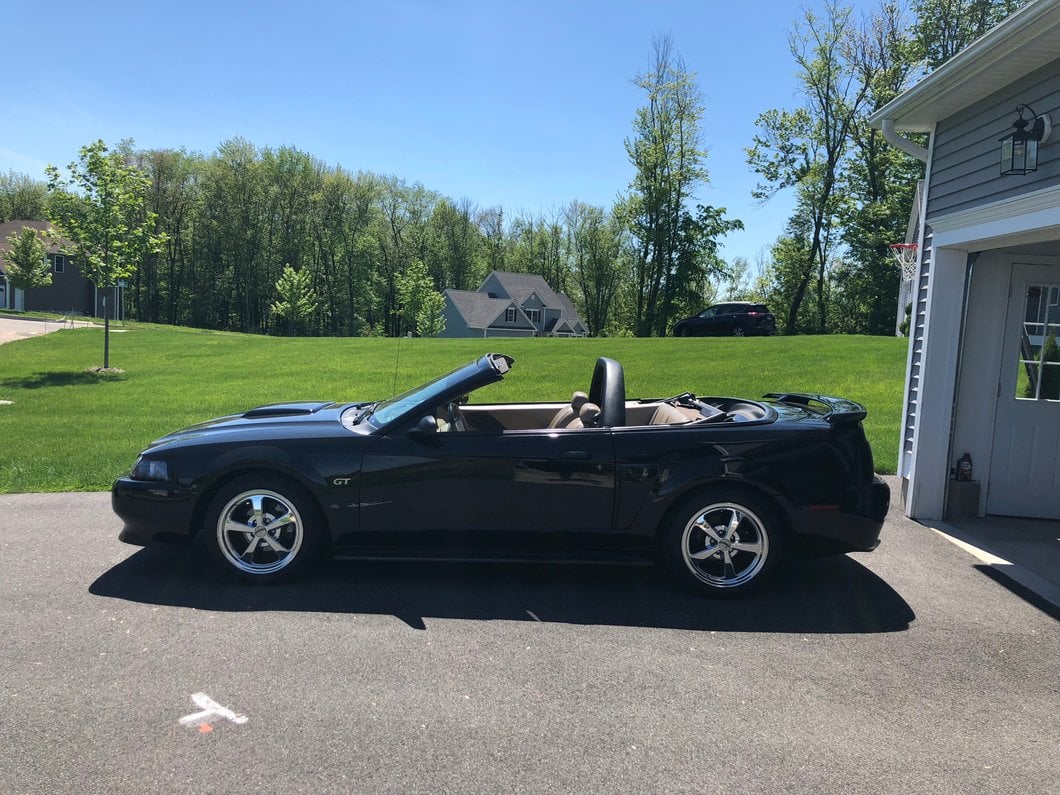 MMD Styling Bar; Charcoal (99-04 Mustang Convertible)