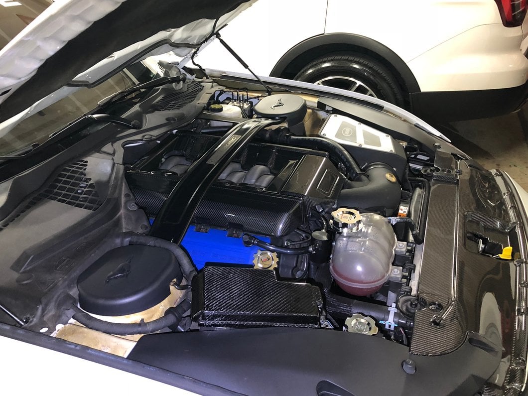 MMD Engine Cover; Carbon Fiber (15-17 Mustang GT)