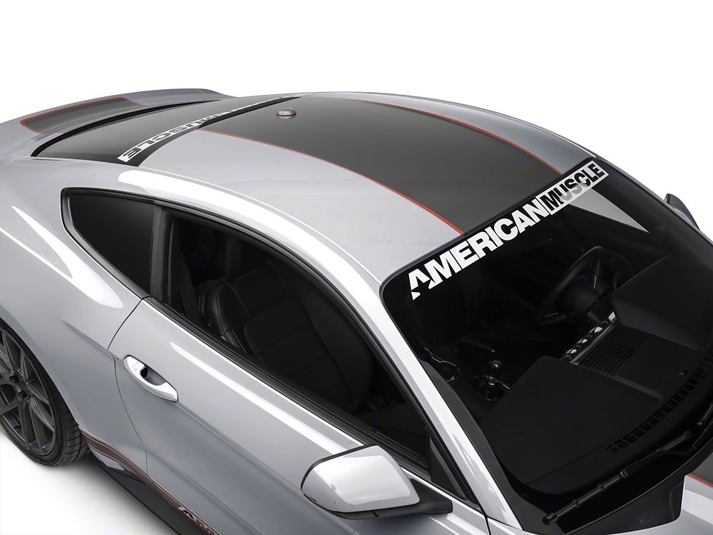 MMD by FOOSE Center Line Graphic Kit; Silver and Orange (15-17 Mustang Fastback)