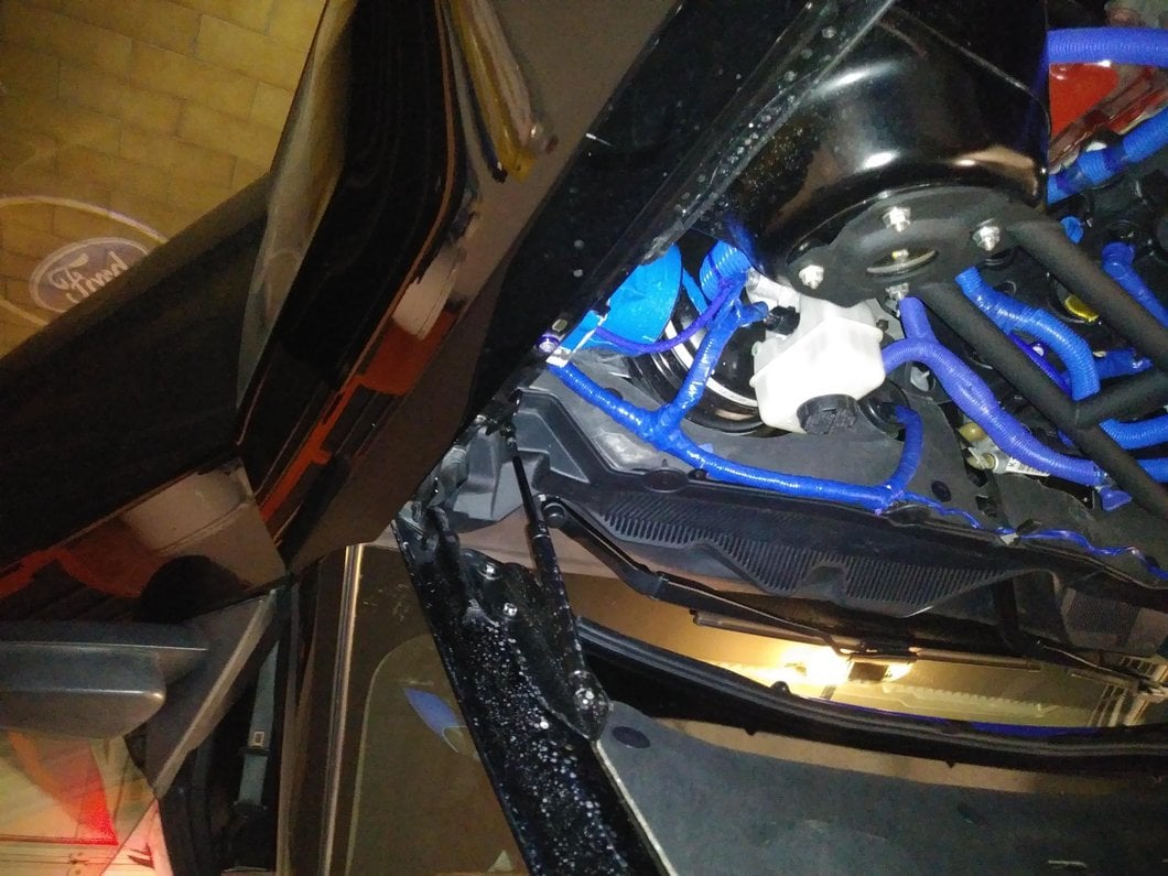 MMD Bolt On Hood Strut Kit; Black (10-14 Mustang)