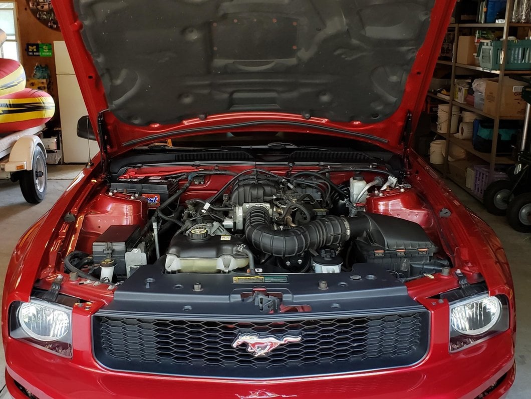 MMD Bolt On Hood Strut Kit; Black (05-09 Mustang)