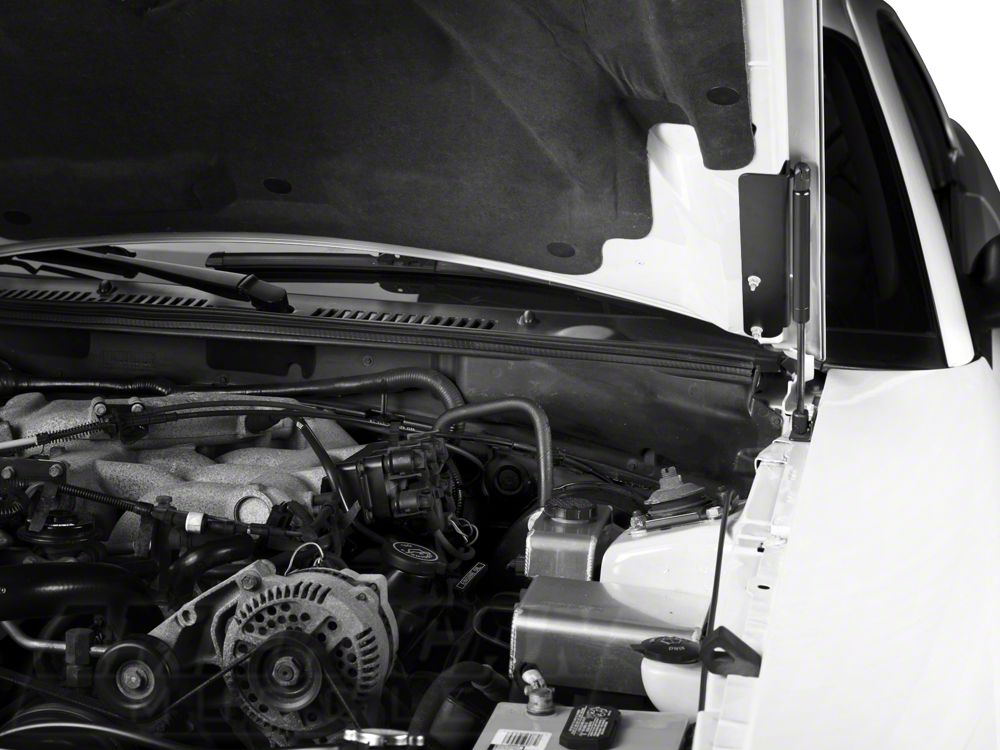 MMD Bolt On Hood Strut Kit; Black (99-04 Mustang)