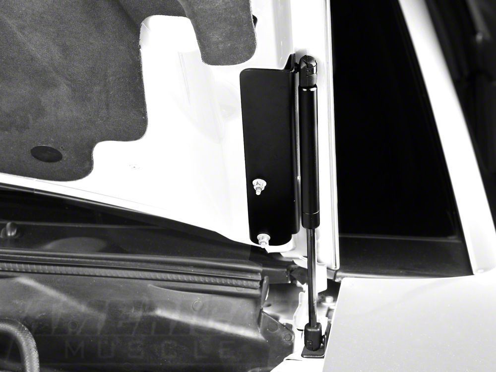 MMD Bolt On Hood Strut Kit; Black (94-98 Mustang)