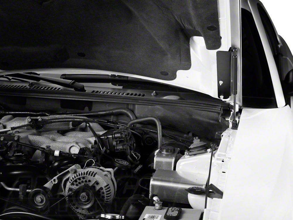 MMD Bolt On Hood Strut Kit; Black (94-98 Mustang)