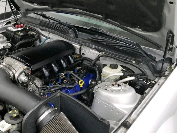 MMD Bolt On Hood Strut Kit; Black (05-09 Mustang)