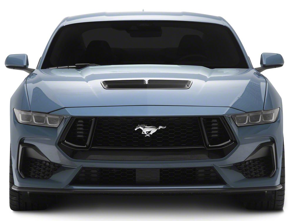 MMD Bumper Accent Cover; Carbon Fiber (24-25 Mustang GT, EcoBoost)