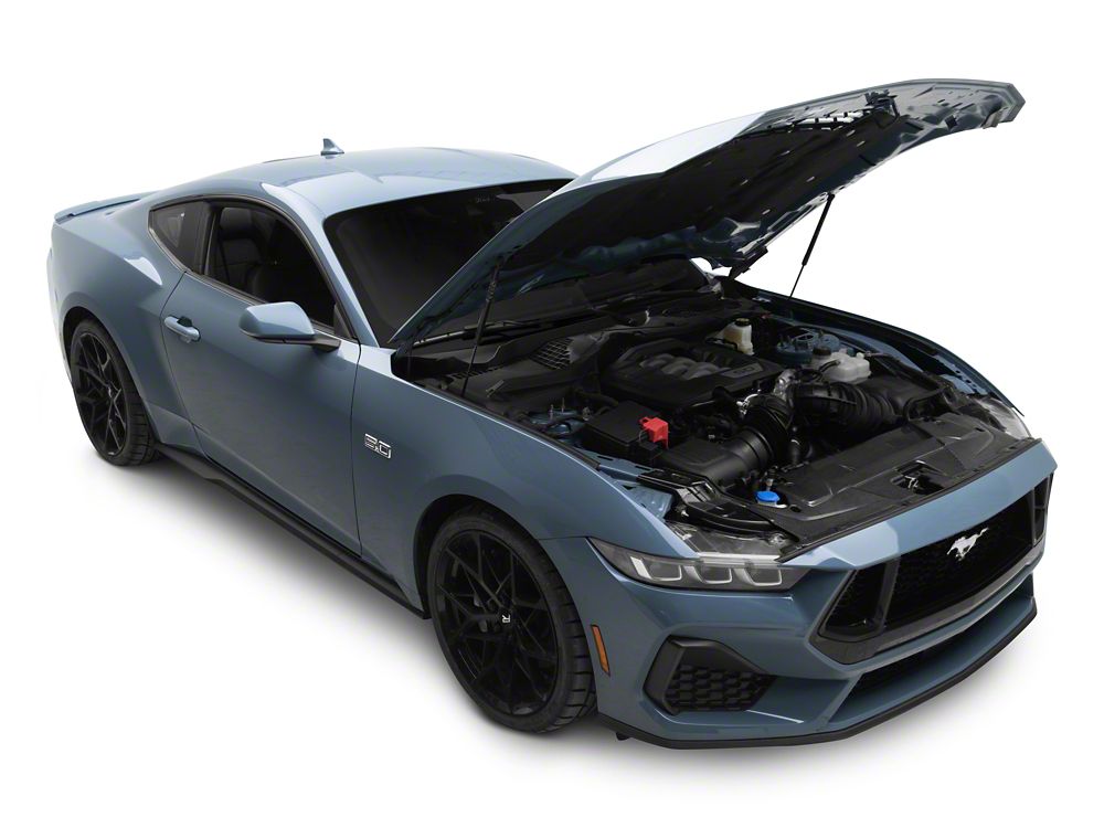 MMD Radiator Cover; Carbon Fiber (24-25 Mustang)