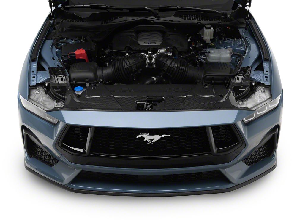 MMD Radiator Cover; Carbon Fiber (24-25 Mustang)