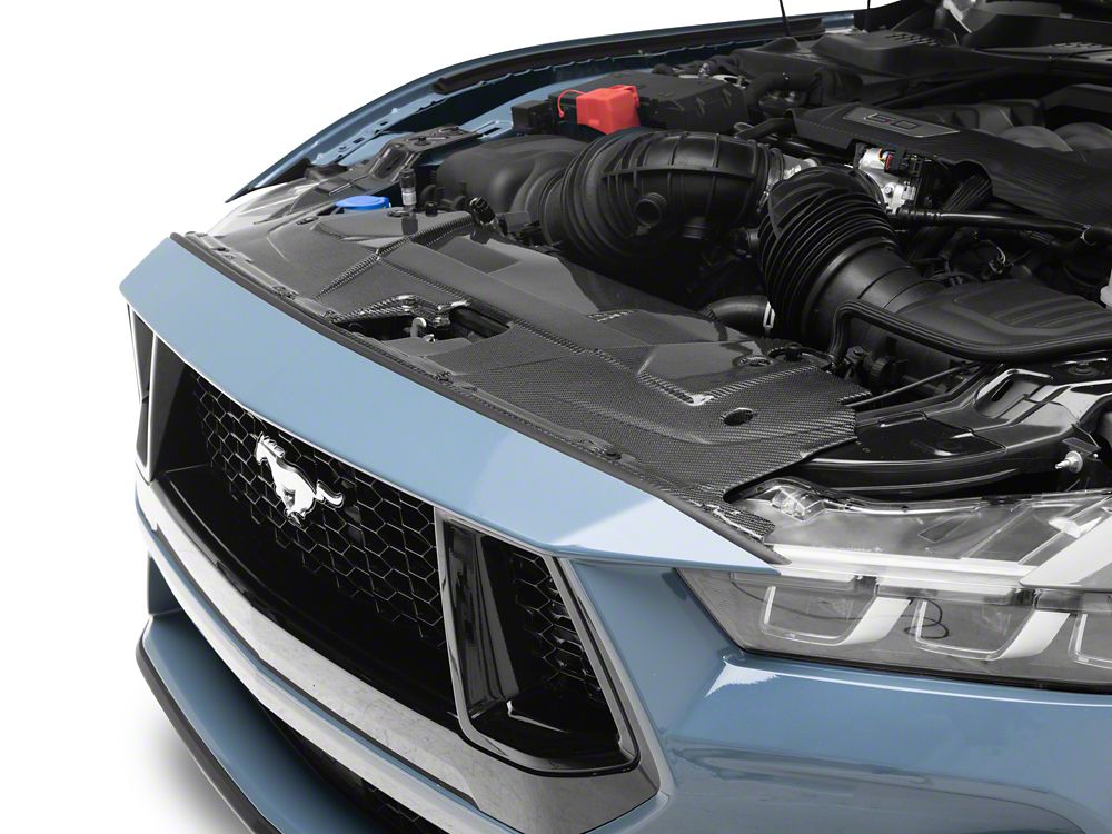 MMD Radiator Cover; Carbon Fiber (24-25 Mustang)
