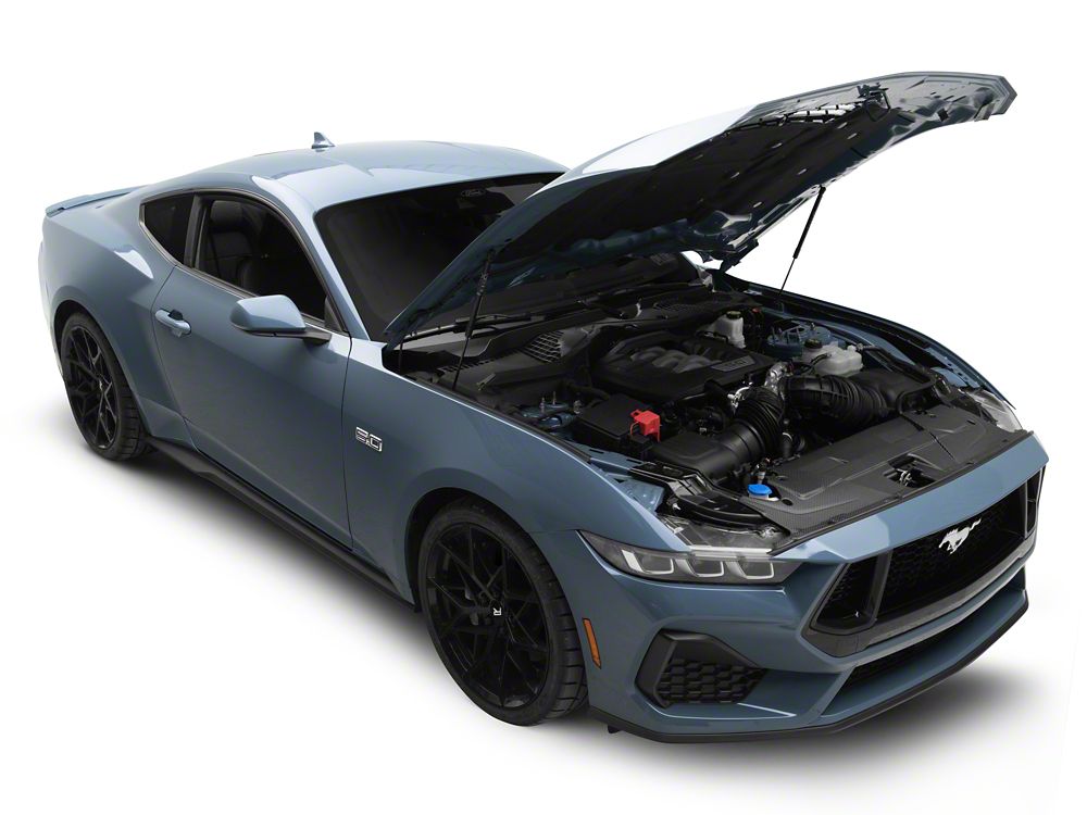 MMD Radiator Cover; Matte Carbon Fiber (24-25 Mustang)