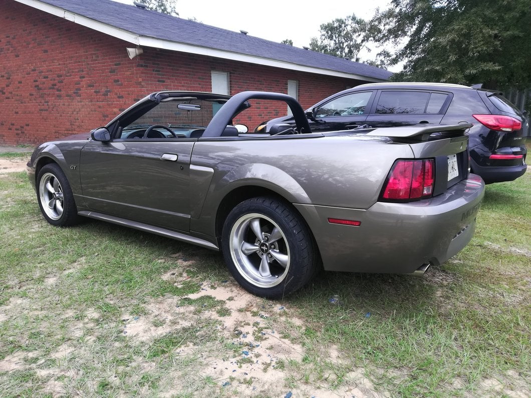 MMD Styling Bar; Charcoal (99-04 Mustang Convertible)
