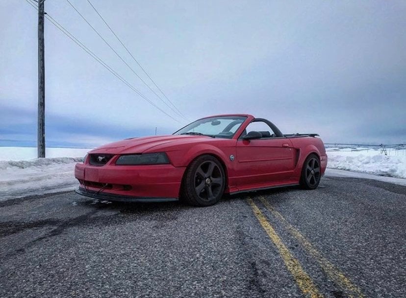 MMD Styling Bar; Charcoal (99-04 Mustang Convertible)