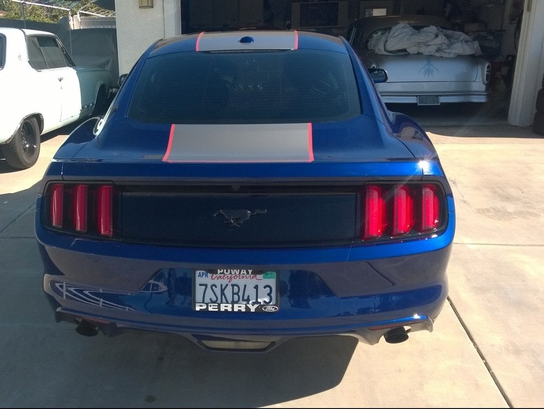 MMD by FOOSE Center Line Graphic Kit; Silver and Orange (15-17 Mustang Fastback)