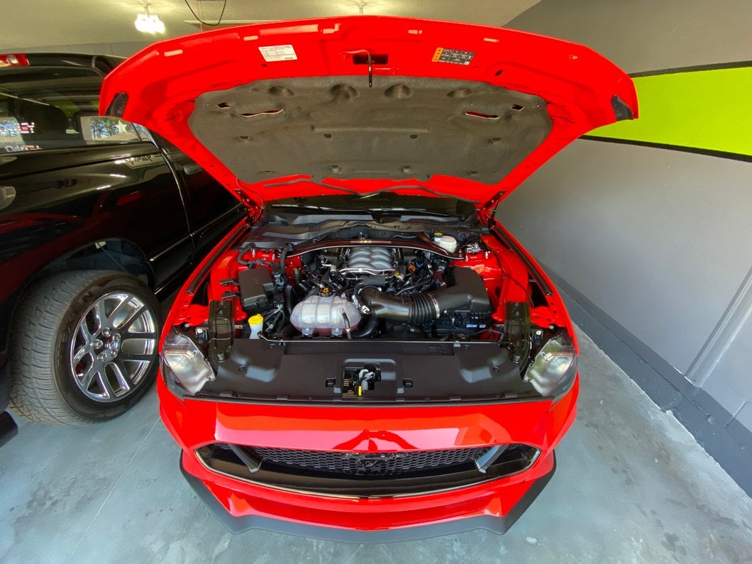 MMD Bolt On Hood Strut Kit; Black (15-23 Mustang GT, EcoBoost, V6)