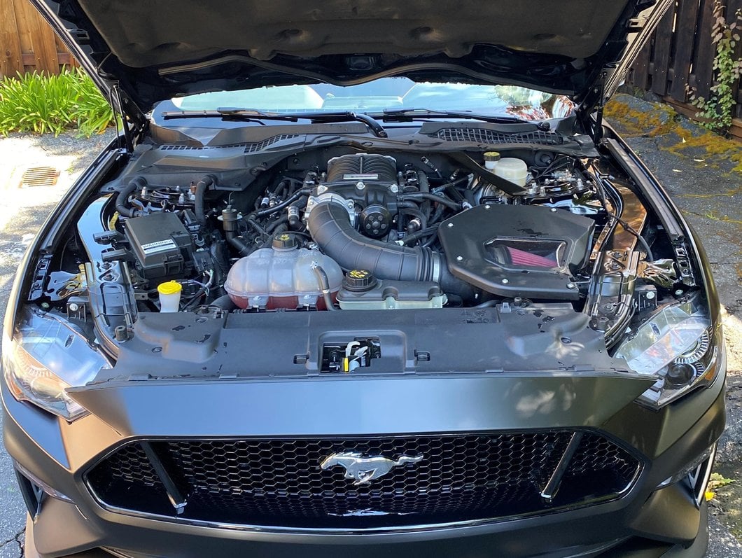 MMD Bolt On Hood Strut Kit; Black (15-23 Mustang GT, EcoBoost, V6)