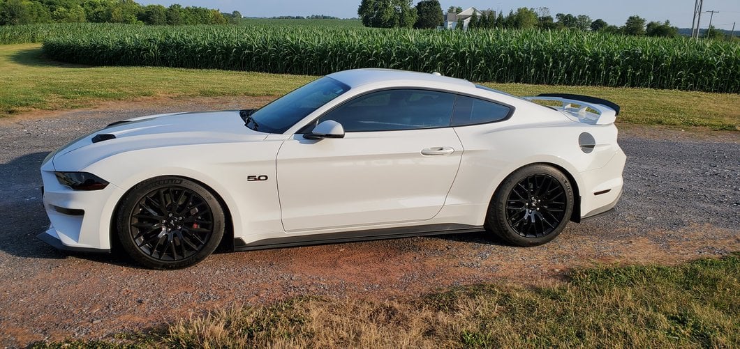 MMD Fuel Door Cover; Carbon Fiber (15-23 Mustang)