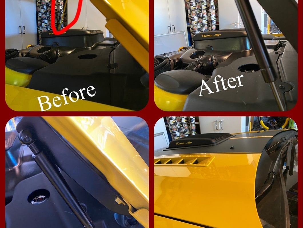 MMD Bolt On Hood Strut Kit; Black (05-09 Mustang)