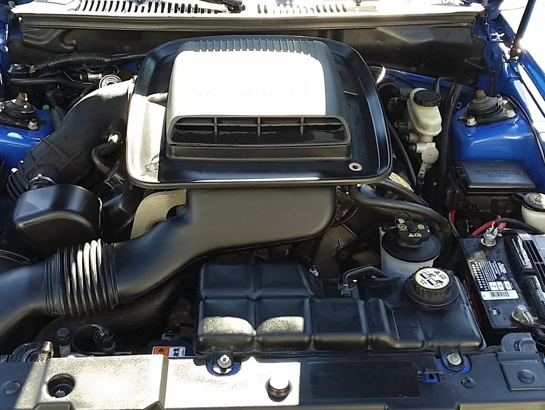 MMD Bolt On Hood Strut Kit; Black (99-04 Mustang)