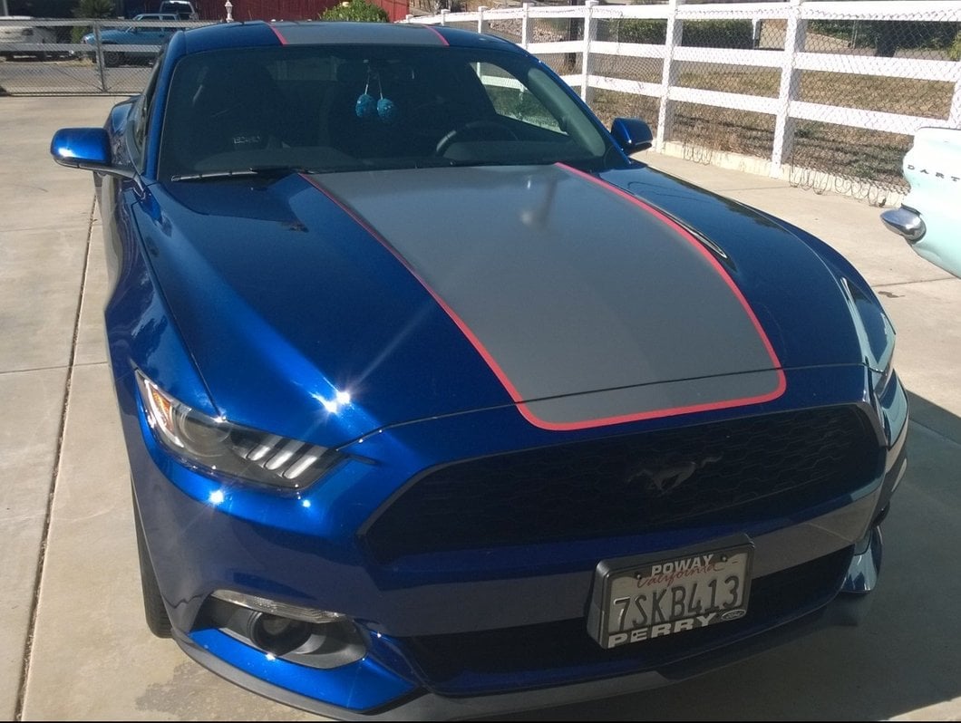 MMD by FOOSE Center Line Graphic Kit; Silver and Orange (15-17 Mustang Fastback)