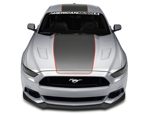 MMD by FOOSE Center Line Graphic Kit; Silver and Orange (15-17 Mustang Fastback)